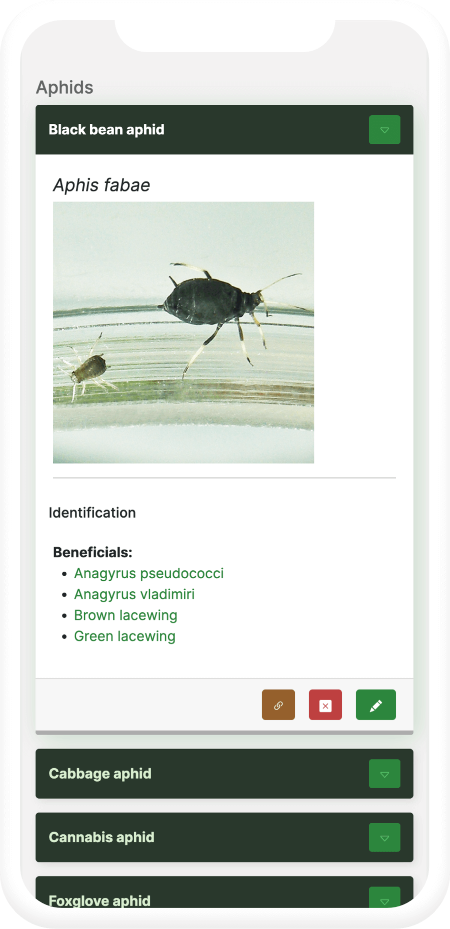 Pests screen